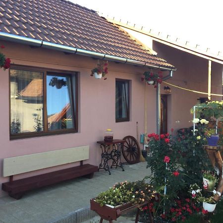 Mediaş Casa Rustica Cu Terasa 빌라 외부 사진
