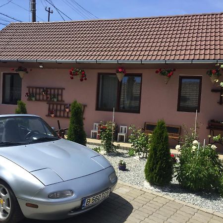 Mediaş Casa Rustica Cu Terasa 빌라 외부 사진