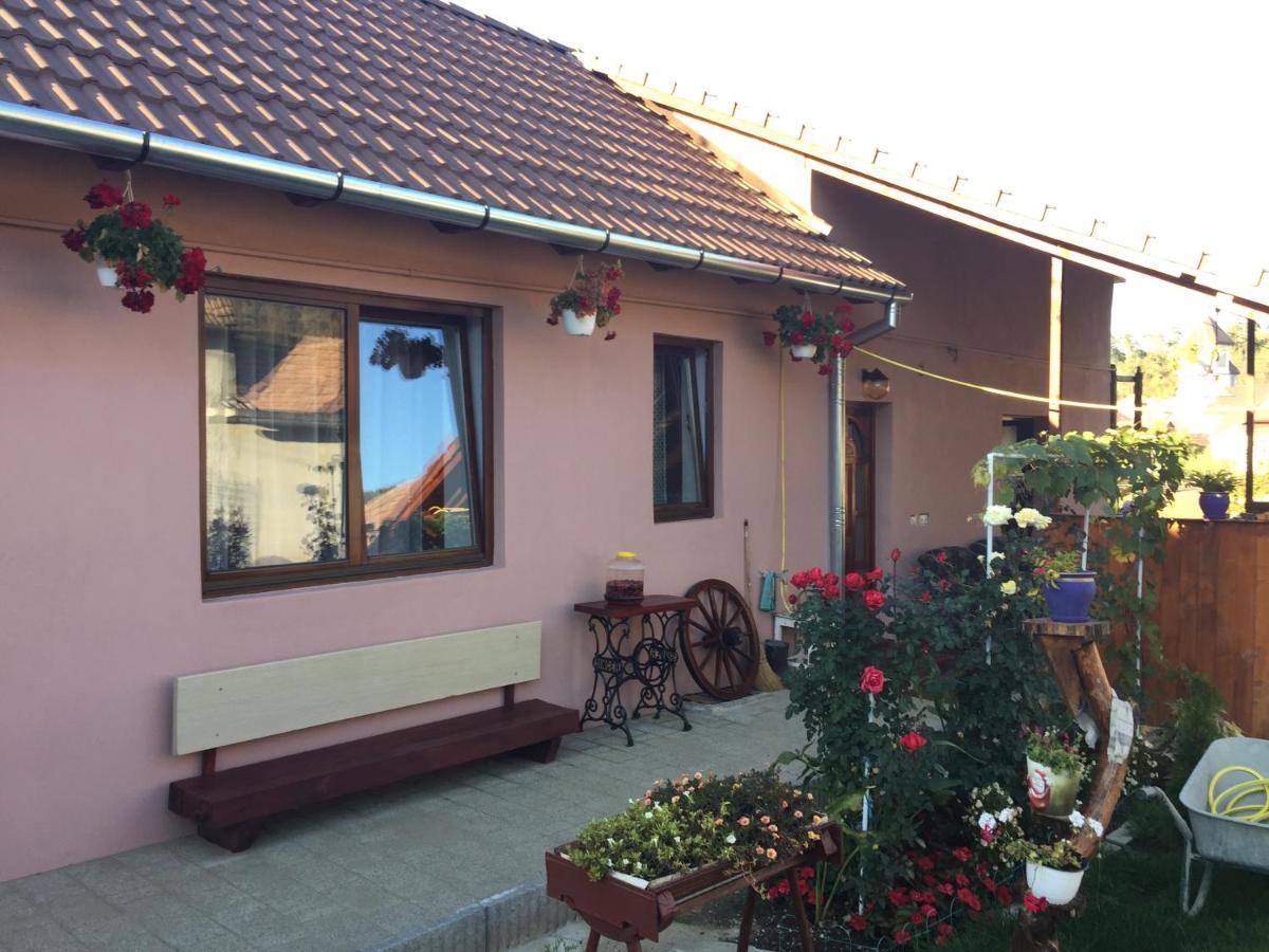 Mediaş Casa Rustica Cu Terasa 빌라 외부 사진