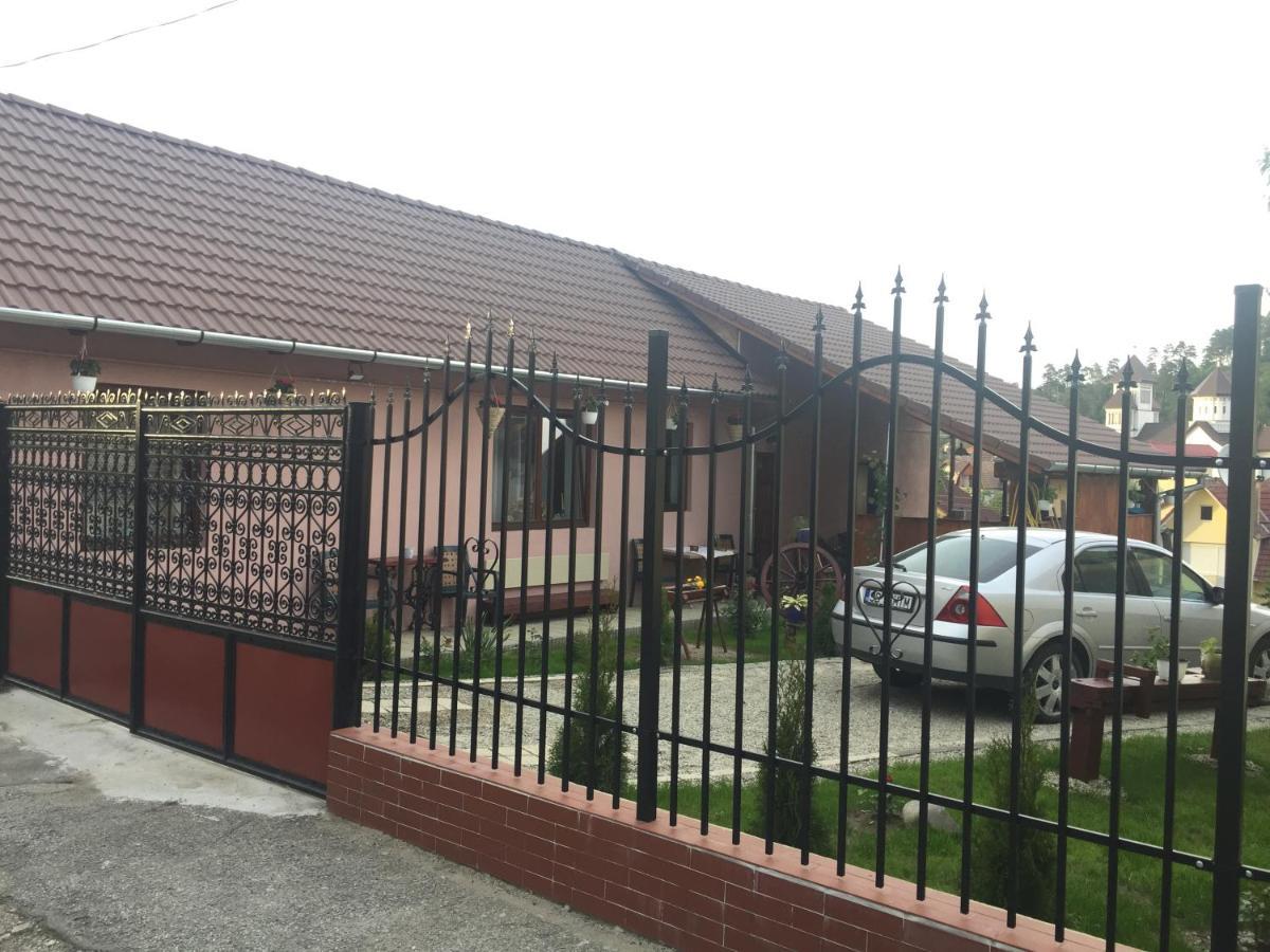 Mediaş Casa Rustica Cu Terasa 빌라 외부 사진