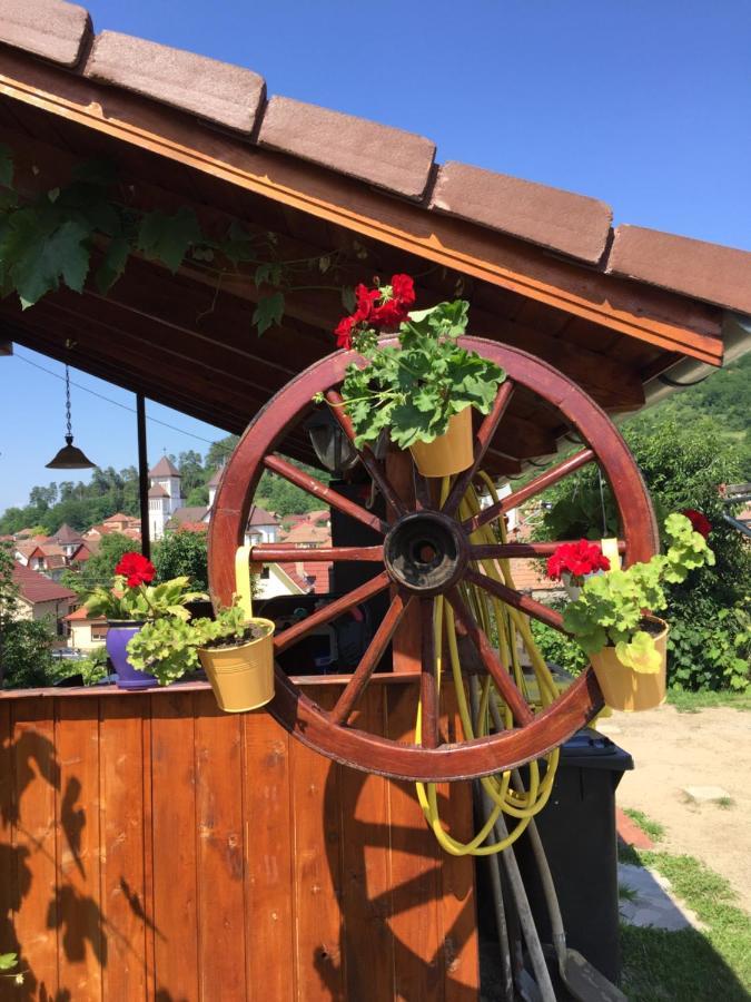 Mediaş Casa Rustica Cu Terasa 빌라 외부 사진