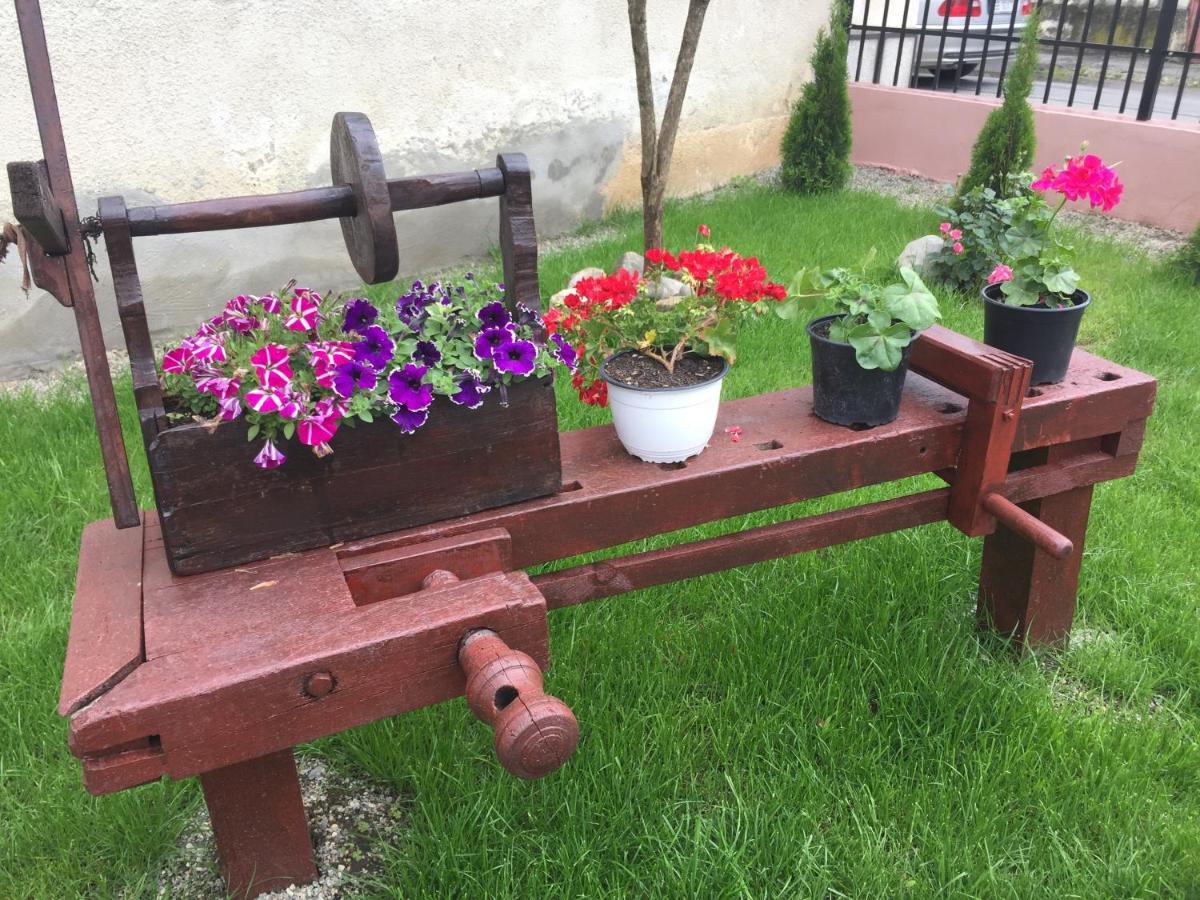 Mediaş Casa Rustica Cu Terasa 빌라 외부 사진