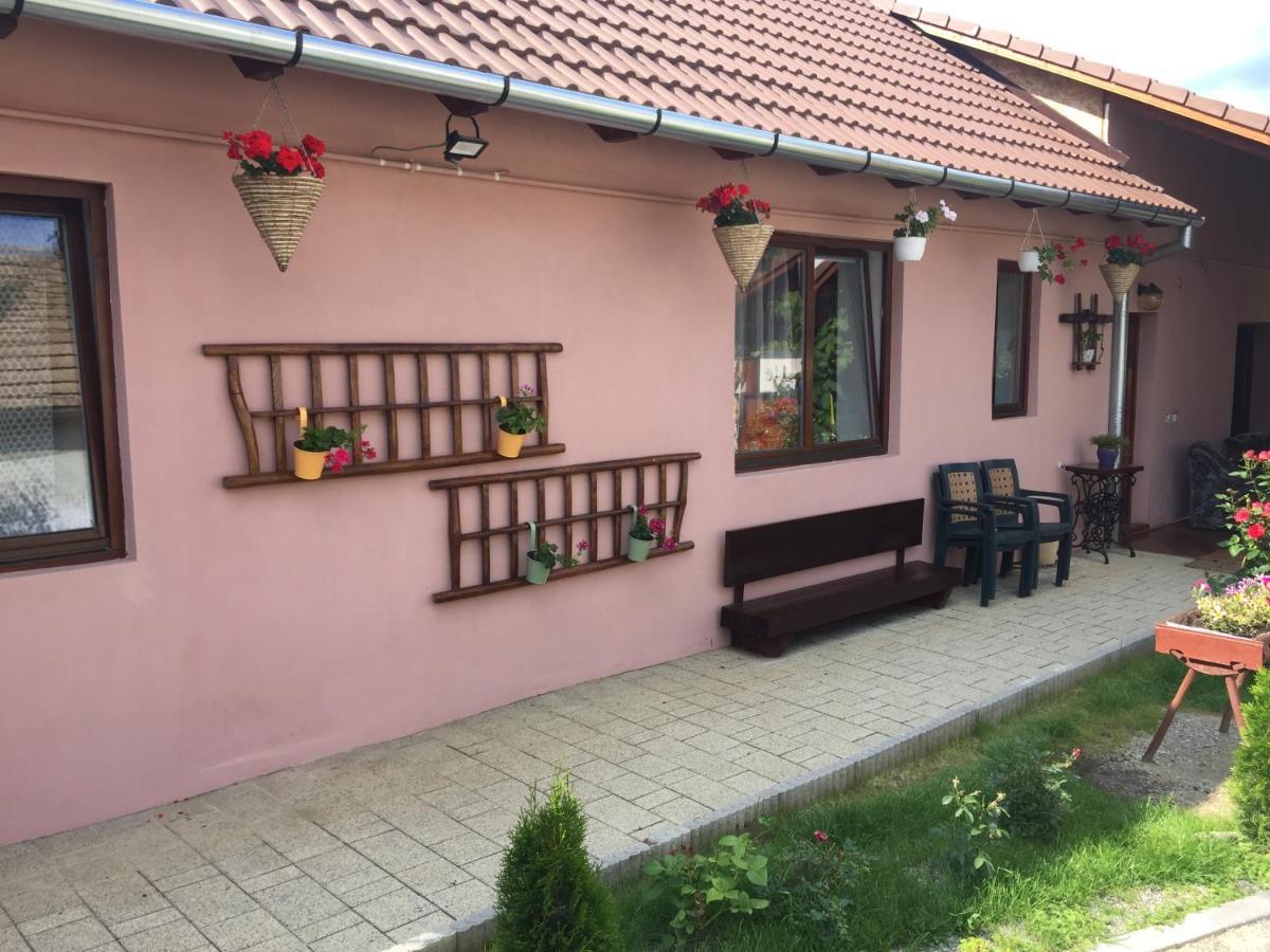 Mediaş Casa Rustica Cu Terasa 빌라 외부 사진