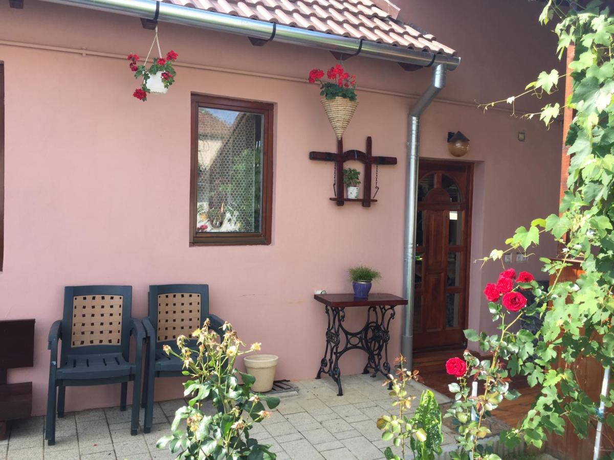Mediaş Casa Rustica Cu Terasa 빌라 외부 사진