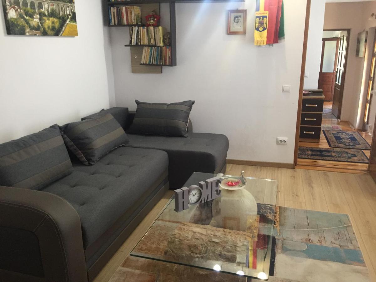 Mediaş Casa Rustica Cu Terasa 빌라 외부 사진