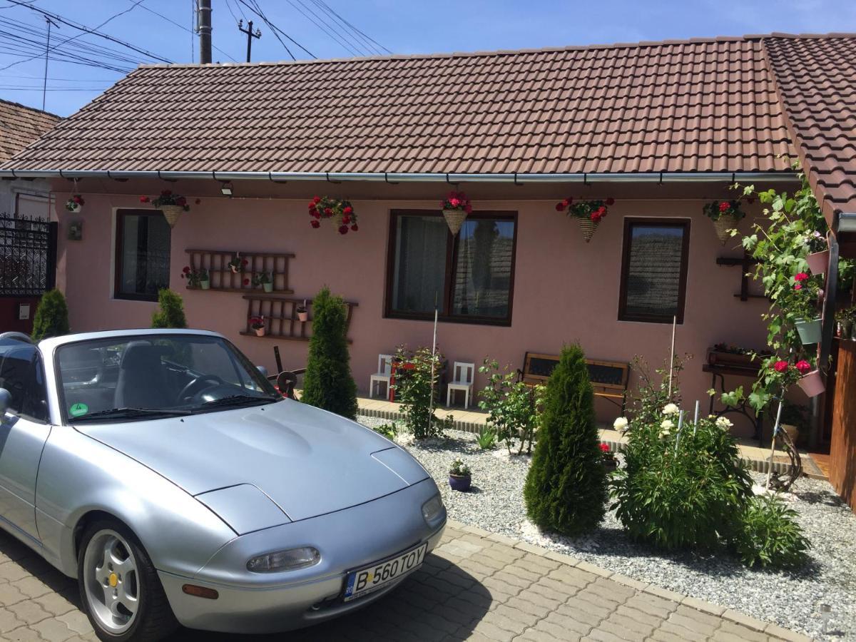 Mediaş Casa Rustica Cu Terasa 빌라 외부 사진