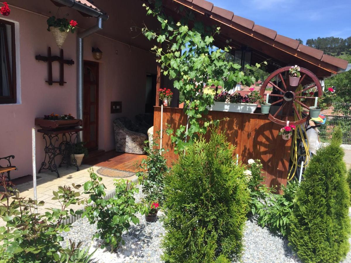 Mediaş Casa Rustica Cu Terasa 빌라 외부 사진