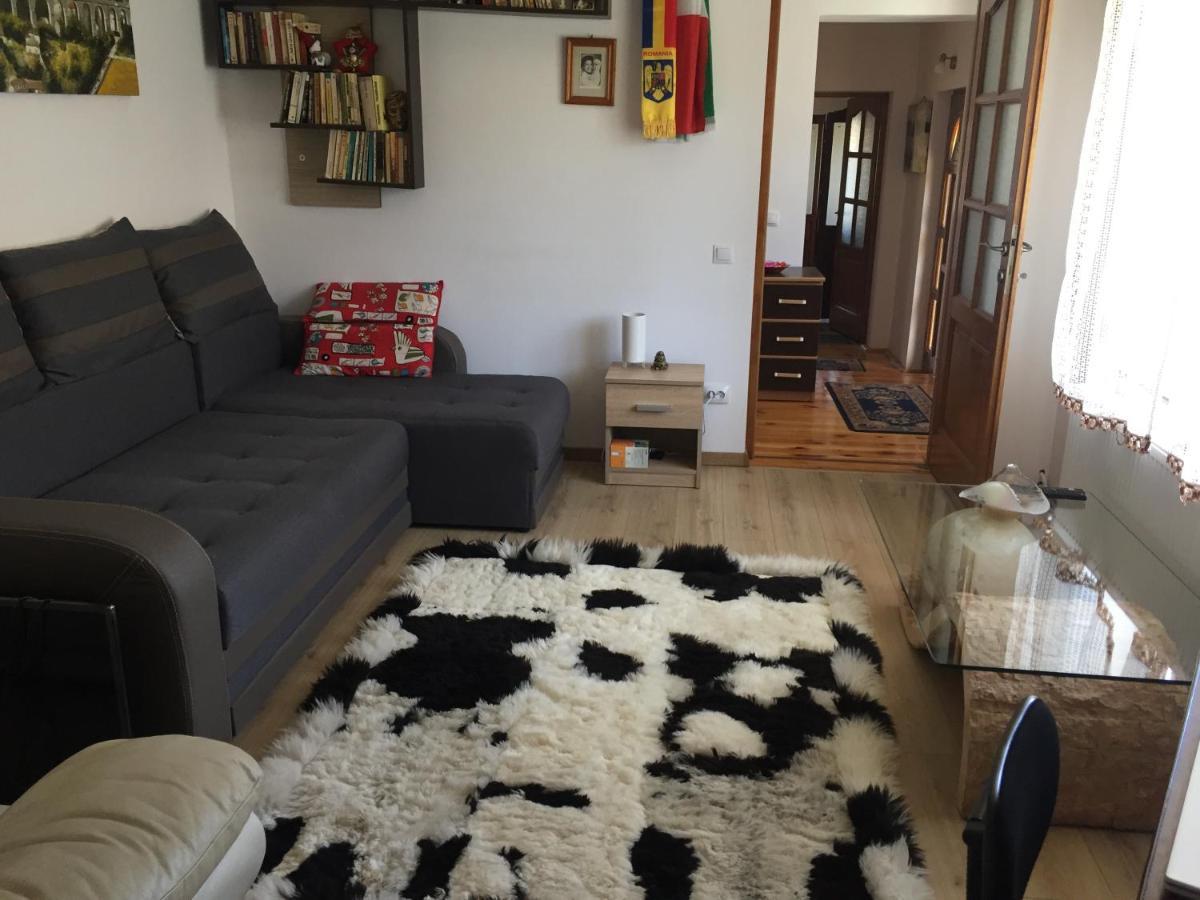 Mediaş Casa Rustica Cu Terasa 빌라 외부 사진